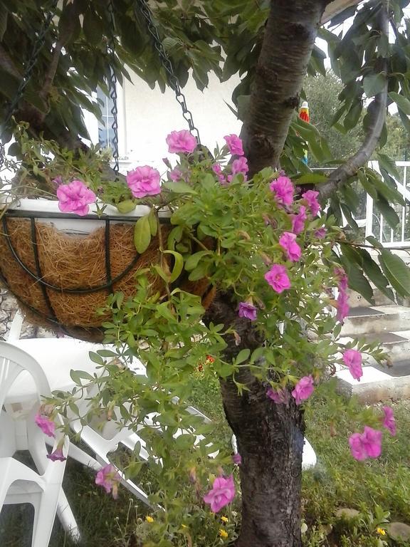 Siesta Apartments Šibenik Dış mekan fotoğraf